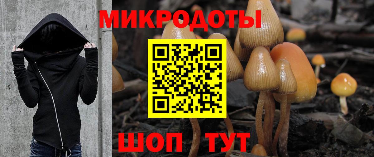 Галлюциногенные грибы Psilocybine cubensis  Псилоцибиновые грибы мицелий  Добрянка  Вход с VPN 